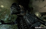 Galerie_aliens_vs_predator_galeria_4_25319_0935_18122009